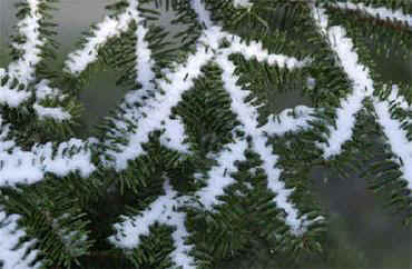 Weihnachtsgrüsse aus Martinszell