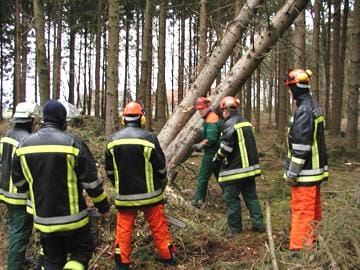 th wald 2004 erklaerung