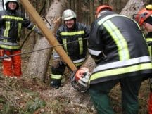 th wald 2004 saege fest