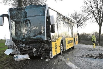 Linienbus prallt gegen Baum